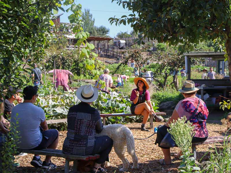 People sitting on wooden benches, surrounded by a large vegetable garden farm, listen to a woman speaking